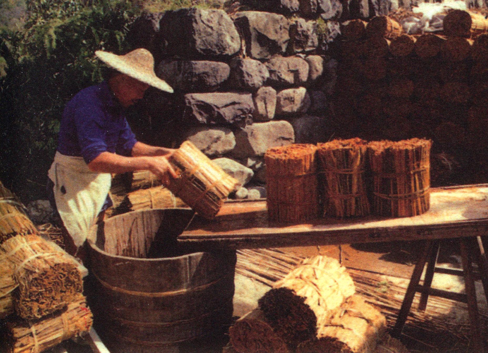 竹纸制作工艺